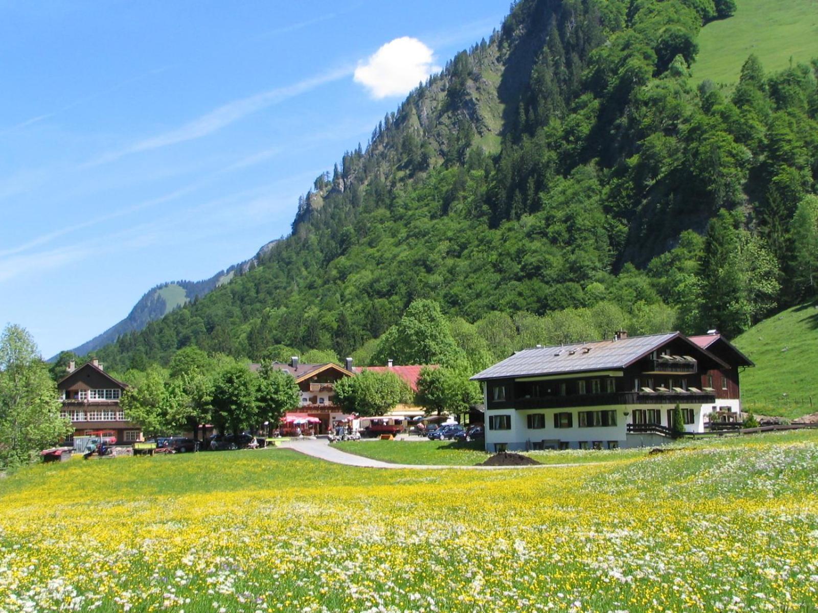 Ferienparadies Spielmannsau オーベルストドルフ エクステリア 写真